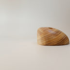 Canarywood Sloper II